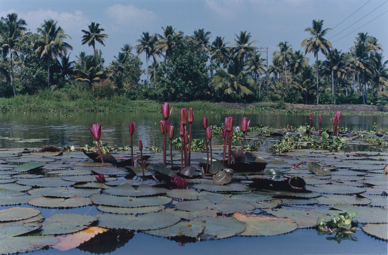 INDE - Photography by EDWARD LANE